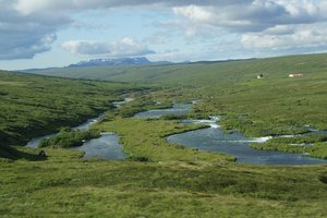 Bild der Natur Landschaft in Island